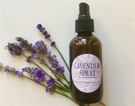 lavender  versatile essential oilpure home  body llc