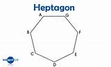 Heptagon Kids Shapes Sides Angles sketch template