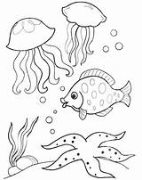 Mewarnai Buku Undersea Hewan Marin Marins Kumpulan Diwarnai sketch template