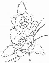 Coloring Amber Pages Flush Rose sketch template