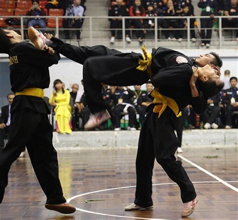 international martial arts fest starts  hcm city
