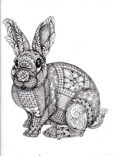 black  white drawing   rabbit  ornate designs   body