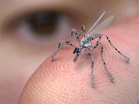 transcend media service    mosquito     drone