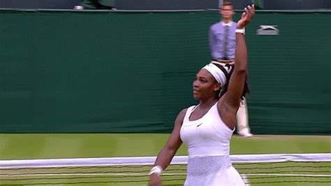 serena williams page find and share on giphy