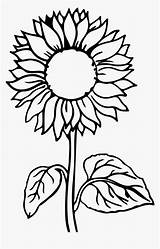 Sunflower Printable Sticken Kindpng Sonnenblume Blumen Kostenlose Anleitungen Outline Indiaparenting Enormous Child sketch template