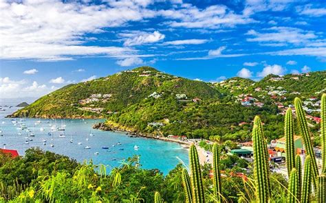 20 reasons why you should visit the caribbean right now
