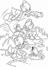 Coloring Pages Huey Dewey Louie Donald Drawing sketch template
