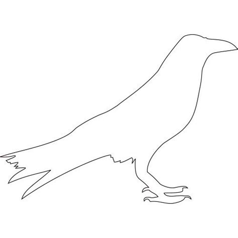 template   crow crow templates black bird