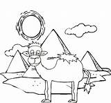 Coloring Camel Scenery Pyramid Cartoon Pages Fascinating Children sketch template