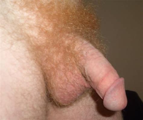 Supaflyguy S Gallery Big Hairy Ginger Cock