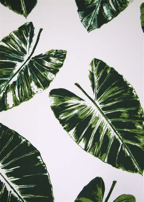 rose cummings  dessin fournir green banana leaves