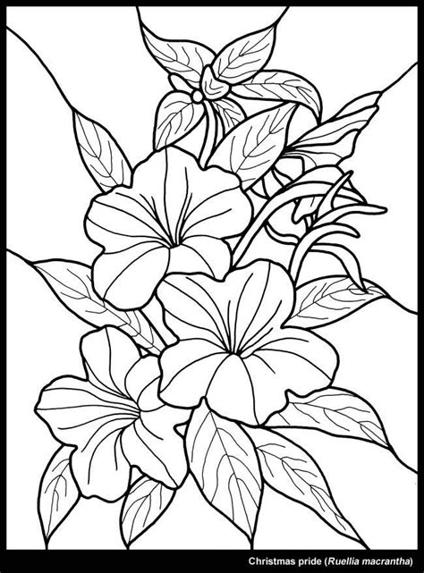 image result   coloring pages tropical leaf printable flower