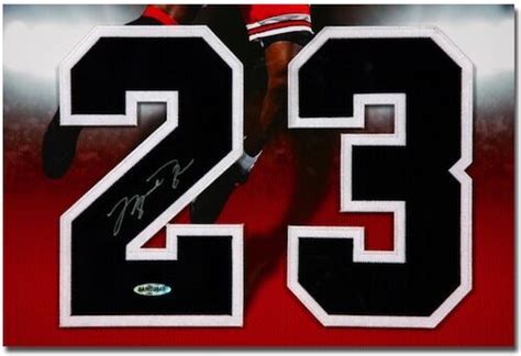 michael jordan signed chicago bulls  custom framed jersey number