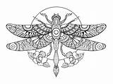 Dragonfly Libellule Colorare Libellula Coloriage Adult Libel Adulti Pages Kleurend Vecteur Mandala Adultes Zentangle Doodle sketch template