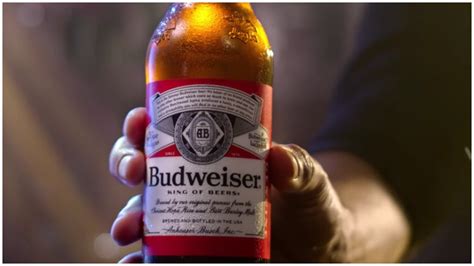 budweiser s super bowl 2020 commercial for ‘typical