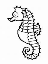 Pages Coloring Fish Horse Printable Sea Colouring Seahorse Animal Print Adult Cartoon Ws Kids School First sketch template
