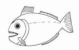 Fish Slippery Coloring Template Pages sketch template