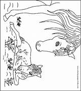 Horse Coloring Pages Horses Foal Color Printable Animal Kids Sheets Print Found sketch template