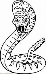 Rattlesnake Educative sketch template