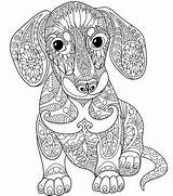 Mandala Coloring Pages Dog Print Dachshund Printable Adult Pug Adults Colouring Color Mandalas Da Animal Puppy Getcolorings Doodle Dogs Ausmalen sketch template