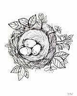 Bird Jenniferrizzo Nests Rizzo Jennifer sketch template