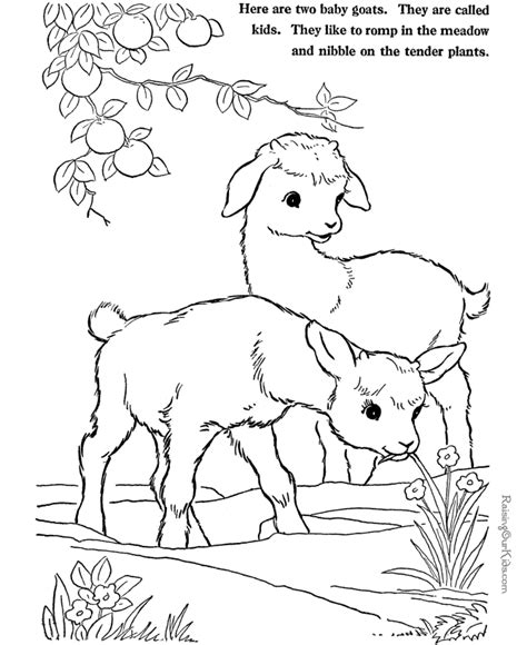 farm animal coloring pages goats  print  color