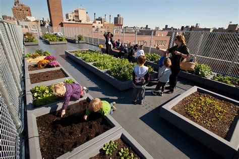 des jardins sur les toits pour les ecoli