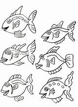 Fisch Ausmalbilder sketch template