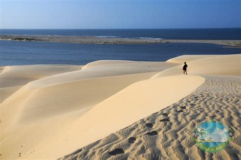 dunas praias  brasil