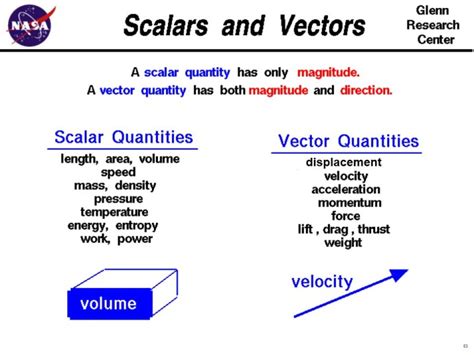 scalars  vectors