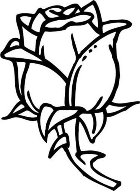 rose coloring pages  subtle shapes  forms   colored