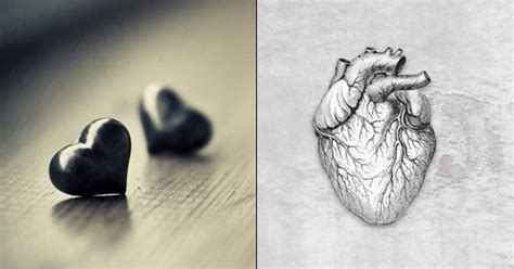 Ever Wondered Why The Hearts We Draw Look Nothing Like The