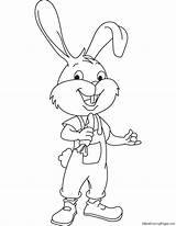 Rabbit Funny Coloring Pages sketch template