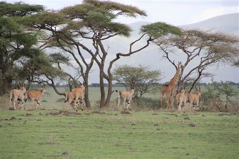 serengeti national park southern africa development community