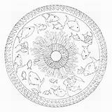 Peces Mandala Mandalas sketch template