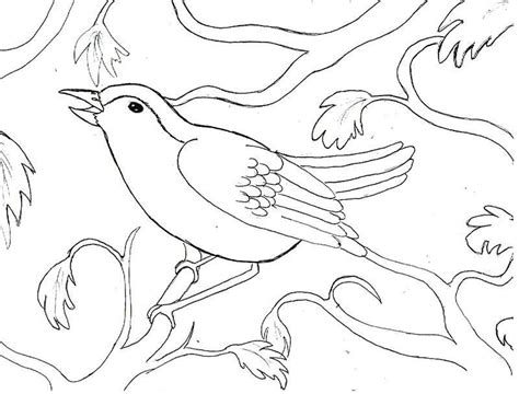 bird  tree coloring page coloring pictures animation images