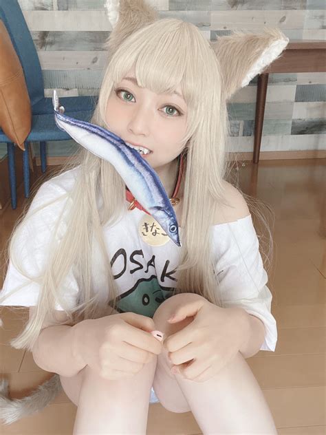 40haras Catgirl Kinako Comes To Life In This Cosplay By Hoshino Mami