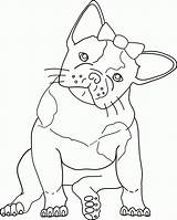 Bulldog Coloring French Pages Printable Dog Bull Terrier Boston Color Drawing Line Cute Kids American Drawings Template Clipart Print Getdrawings sketch template