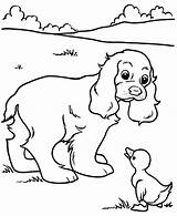 Printable Pages Coloring Dog Sheepdog English Old Print Printables Getcolorings Duck Puppy Kids Getdrawings sketch template