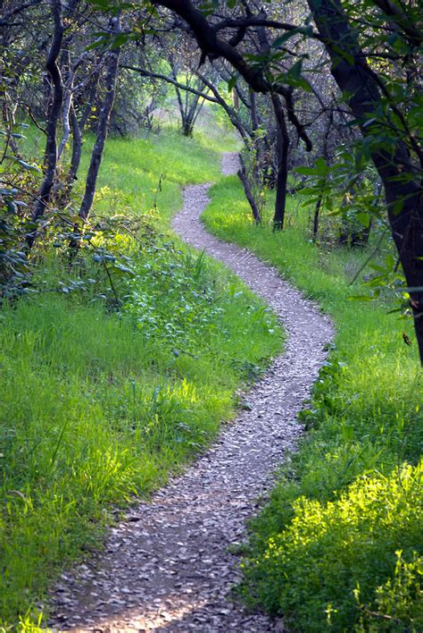 follow   path  lead       path  leave  trail