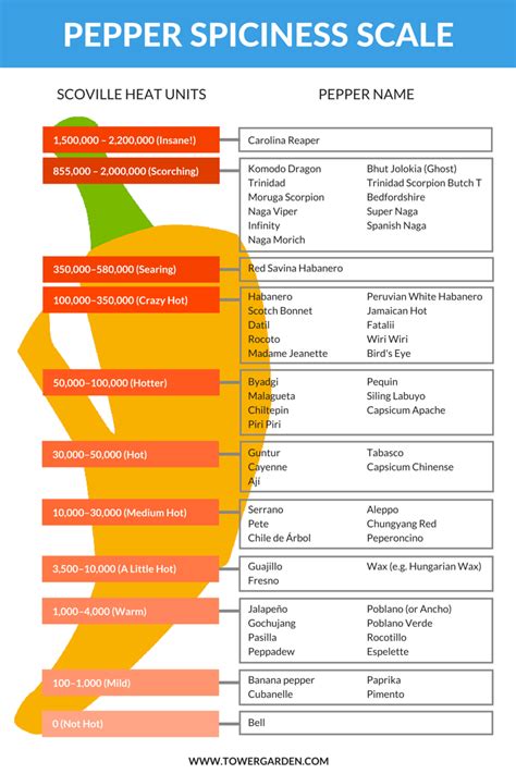 How To Grow Your Own Positively Perfect Peppers