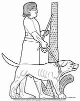 Ancient Dog Color Hunting Enlarge Click sketch template
