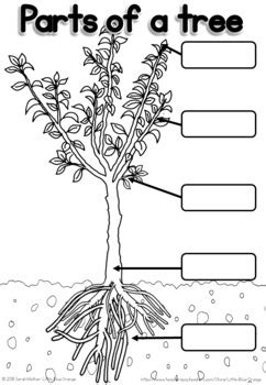 parts   tree worksheet   blue orange tpt