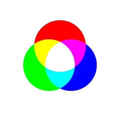 rainbow design  color jackrabbit design