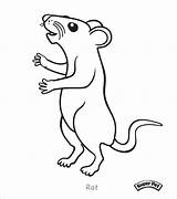 Rat Coloring Pages Rats Cute Rod Cartoon Getcolorings Colouring Coloringbay Printable Kangaroo Click Color Lab sketch template