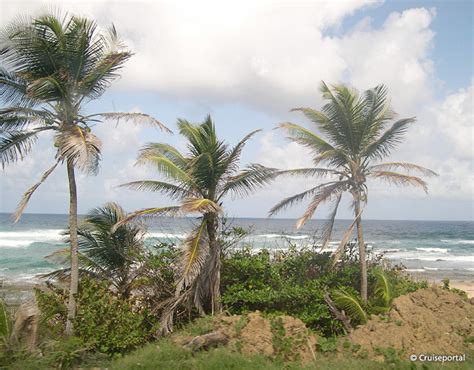 Bridgetown Barbados Karibik Buchen Bei Kreuzfahrten De Meer Erleben