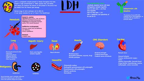 elevated lactate dehydrogenase ldh differential grepmed