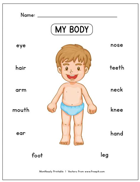 learn  body parts worksheet httpstribobotcom