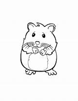 Hamster Coloring Pages Dwarf Getdrawings sketch template