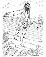 Parable Sower sketch template